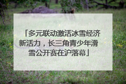 多元联动激活冰雪经济新活力，长三角青少年滑雪公开赛在沪落幕