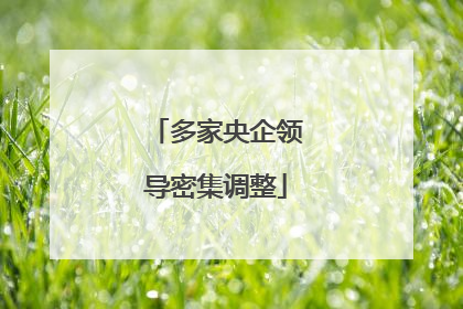 多家央企领导密集调整