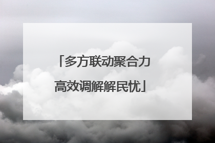 多方联动聚合力 高效调解解民忧