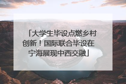 大学生毕设点燃乡村创新！国际联合毕设在宁海展现中西交融