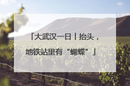 大武汉一日丨抬头，地铁站里有“蝴蝶”