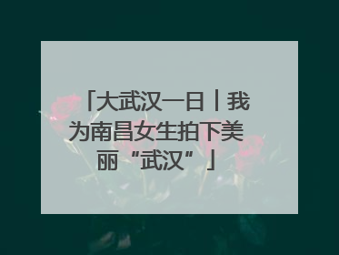 大武汉一日︱我为南昌女生拍下美丽“武汉”