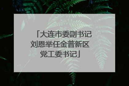 大连市委副书记刘恩举任金普新区党工委书记