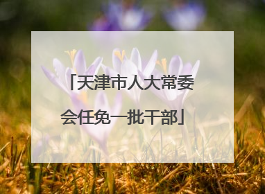 天津市人大常委会任免一批干部