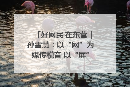 好网民·在东营｜孙雪慧：以“网”为媒传税音 以“屏”为介助发展