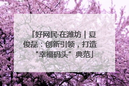 好网民·在潍坊｜夏俊磊：创新引领，打造“幸福码头”典范