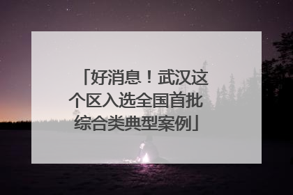 好消息！武汉这个区入选全国首批综合类典型案例