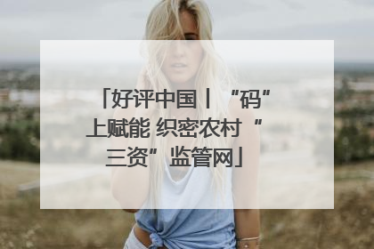 好评中国丨“码”上赋能 织密农村“三资”监管网