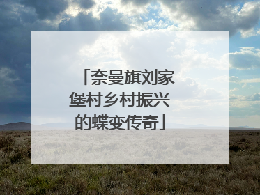 奈曼旗刘家堡村乡村振兴的蝶变传奇
