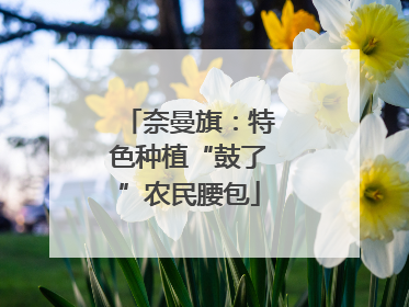 奈曼旗：特色种植“鼓了”农民腰包