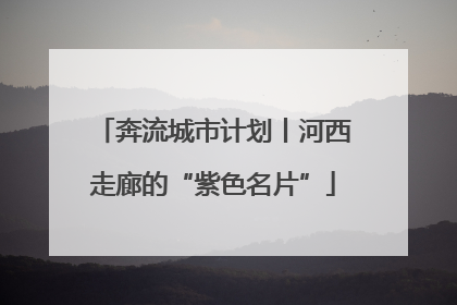 奔流城市计划丨河西走廊的“紫色名片”