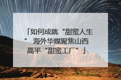 如何成就“甜蜜人生” 海外华媒聚焦山西高平“甜蜜工厂”