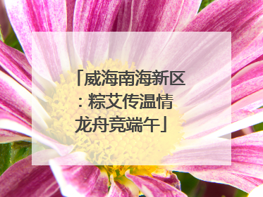 威海南海新区：粽艾传温情 龙舟竞端午
