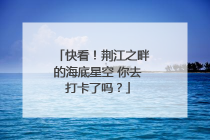 快看！荆江之畔的海底星空 你去打卡了吗？