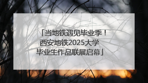 当地铁遇见毕业季！西安地铁2025大学毕业生作品联展启幕