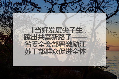 当好发展尖子生，蹚出共富新路子——省委全会部署激励江苏干部群众促进全体人民共同富裕