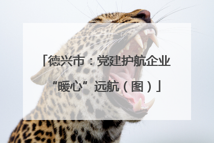 德兴市：党建护航企业“暖心”远航（图）