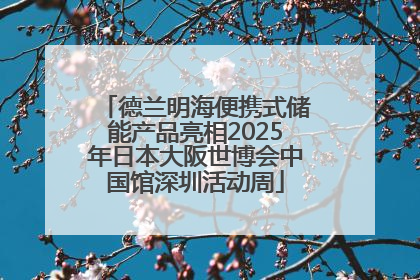 德兰明海便携式储能产品亮相2025年日本大阪世博会中国馆深圳活动周