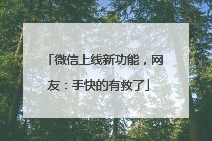 微信上线新功能，网友：手快的有救了