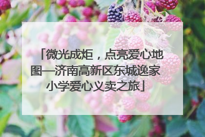 微光成炬，点亮爱心地图—济南高新区东城逸家小学爱心义卖之旅