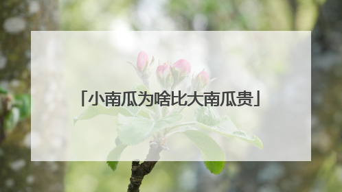 小南瓜为啥比大南瓜贵