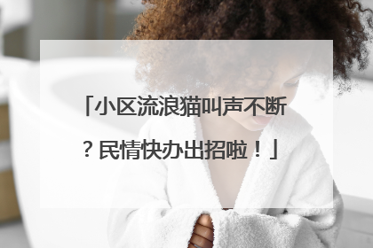 小区流浪猫叫声不断？民情快办出招啦！