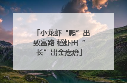 小龙虾“爬”出致富路 稻虾田“长”出金疙瘩