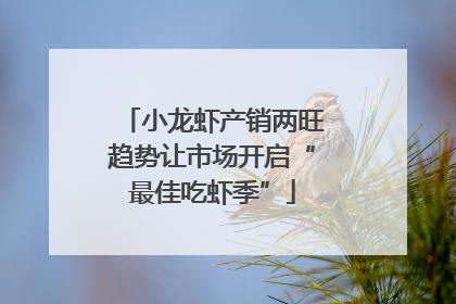 小龙虾产销两旺趋势让市场开启“最佳吃虾季”