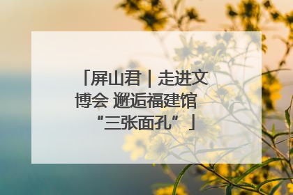 屏山君｜走进文博会 邂逅福建馆“三张面孔”