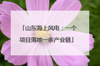 山东海上风电：一个项目落地一条产业链