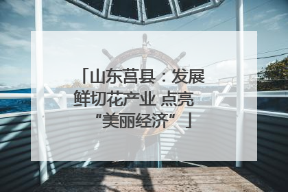山东莒县：发展鲜切花产业 点亮“美丽经济”