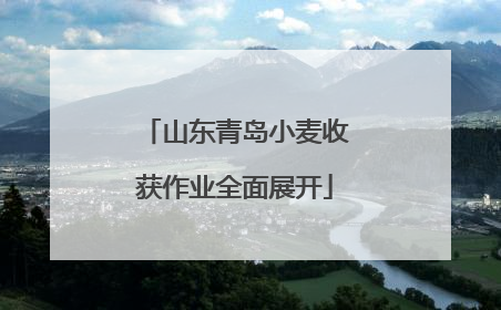山东青岛小麦收获作业全面展开