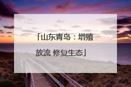 山东青岛：增殖放流 修复生态