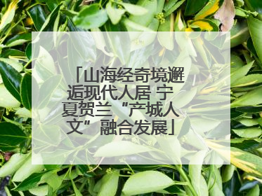 山海经奇境邂逅现代人居 宁夏贺兰“产城人文”融合发展