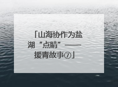 山海协作为盐湖“点睛”——援青故事⑦