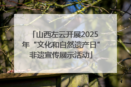 山西左云开展2025年“文化和自然遗产日”非遗宣传展示活动
