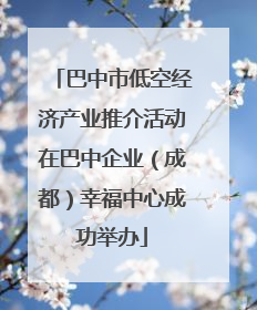 巴中市低空经济产业推介活动在巴中企业（成都）幸福中心成功举办