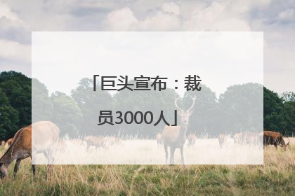 巨头宣布：裁员3000人