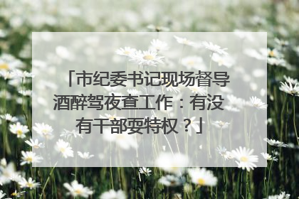 市纪委书记现场督导酒醉驾夜查工作：有没有干部耍特权？