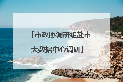 市政协调研组赴市大数据中心调研