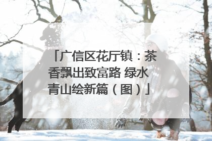广信区花厅镇：茶香飘出致富路 绿水青山绘新篇（图）