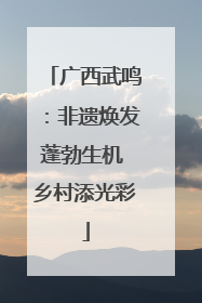 广西武鸣：非遗焕发蓬勃生机 乡村添光彩