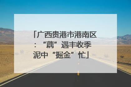 广西贵港市港南区：“藕”遇丰收季 泥中“掘金”忙