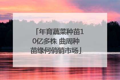 年育蔬菜种苗10亿多株 曲周种苗缘何俏销市场