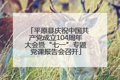 平原县庆祝中国共产党成立104周年大会暨“七一”专题党课报告会召开