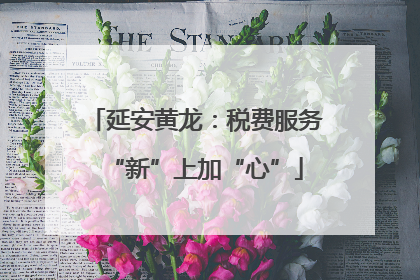 延安黄龙：税费服务“新”上加“心”