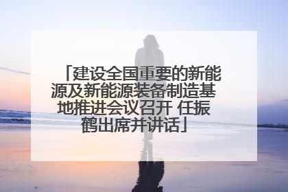 建设全国重要的新能源及新能源装备制造基地推进会议召开 任振鹤出席并讲话