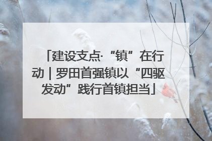 建设支点·“镇”在行动｜罗田首强镇以“四驱发动”践行首镇担当