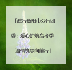建行衡阳市分行团委：爱心护航高考季 温情筑梦向前行