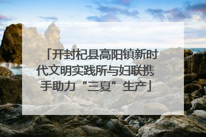 开封杞县高阳镇新时代文明实践所与妇联携手助力“三夏”生产